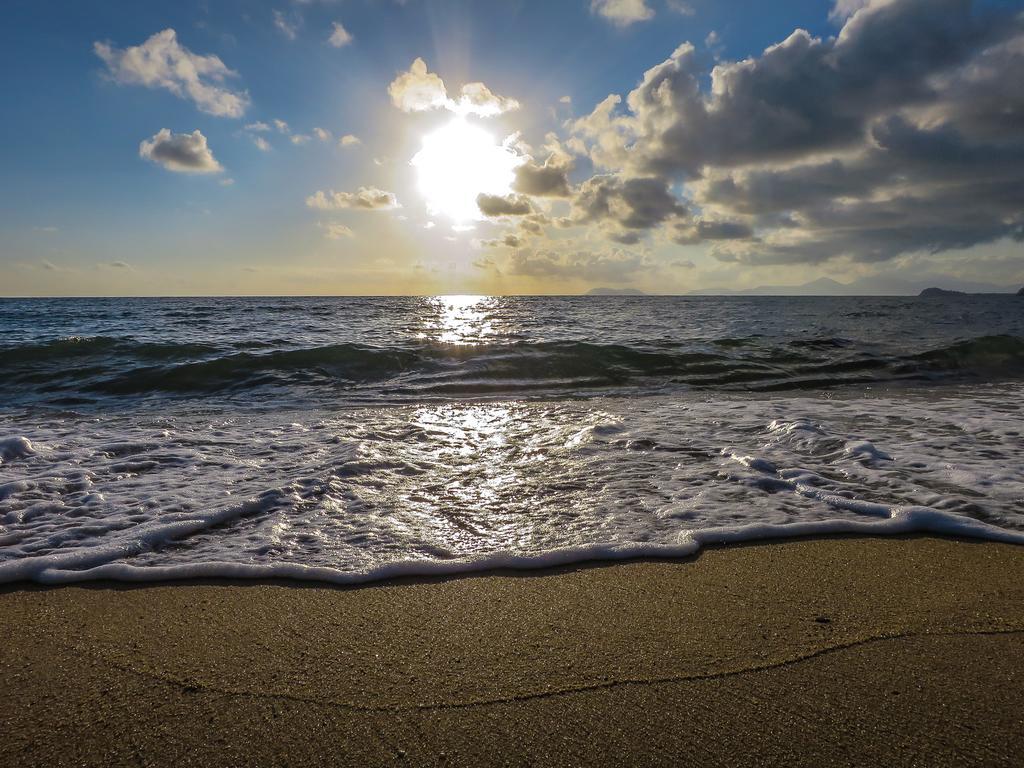 Cairns Beaches Flashpackers Palm Cove Esterno foto